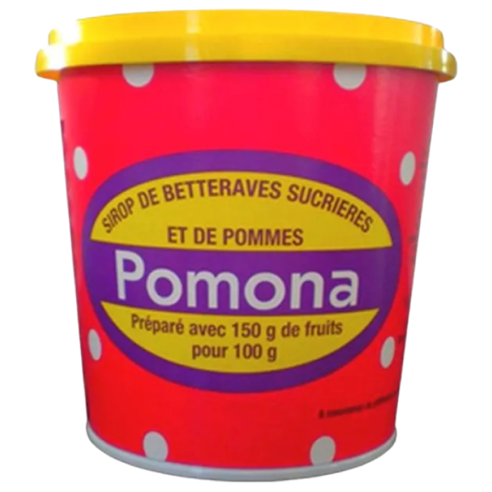 P.POMONA SIROOP 12X450GR