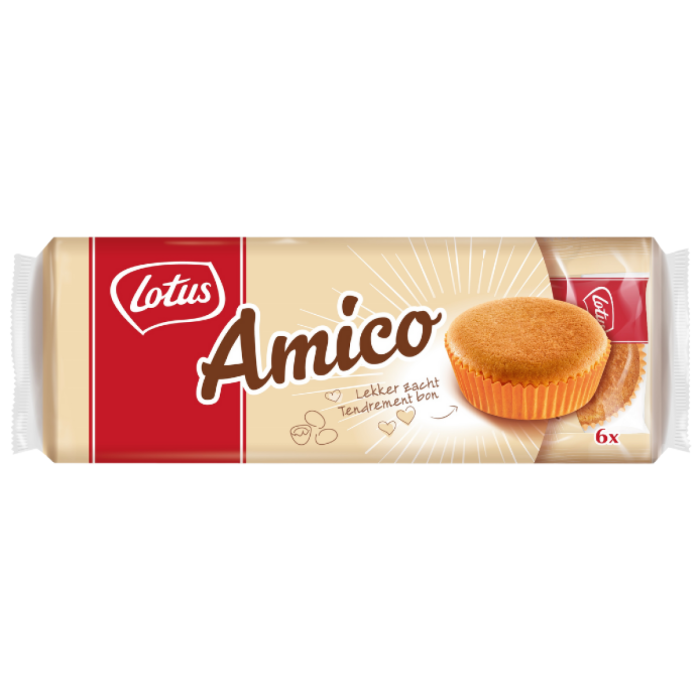 P.LOT.AMICO 6ST.8X192GR C