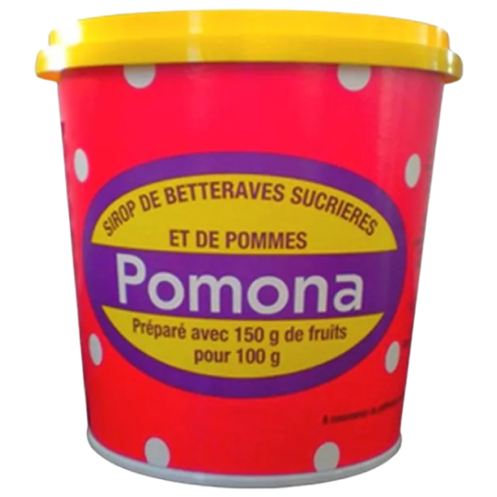 P.POMONA SIROOP 12X450GR